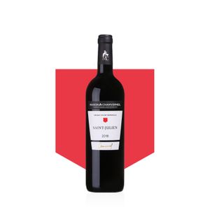 VIN ROUGE Vin AOC Saint-Julien 2018 - Carton de 6 bouteilles