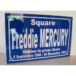 OBJET DÉCORATION MURALE Freddie MERCURY QUEEN objet collector / cadeau pou