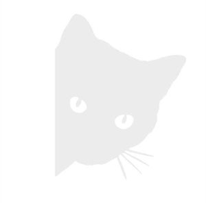 Stickers Chat Pour Voiture