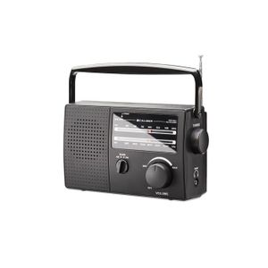 OCIODUAL Mini Poste Radio Portable BC-R2033 Transistor Haut-Parleur Tuner  Analogique FM-AM Bouton de Réglage Prise Jack 3.5mm - Cdiscount TV Son Photo