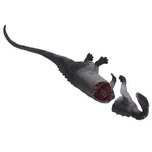 FIGURINE - PERSONNAGE Qqmora jouet de cadavre de dinosaure Modèle de cadavre de dinosaure pour enfants, Figurine jeux d'activite Carcasse de dinosaure