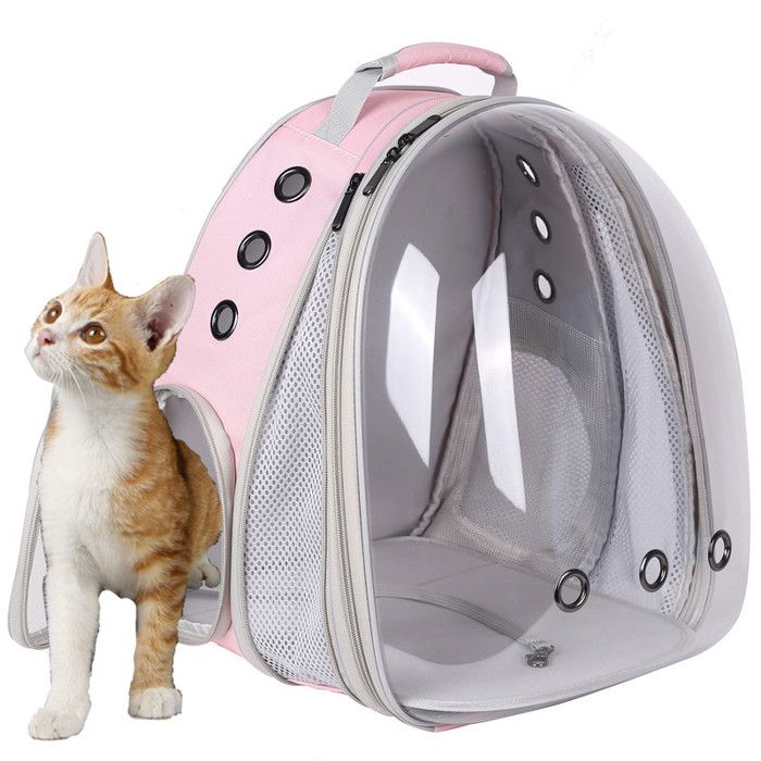 Maine Coon Sac De Transport Chats Maine Coon Sac Ã Dos De