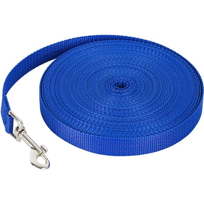 Longe pour chien en nylon 20 m x 2 cm bleue pour dressage/promenade.