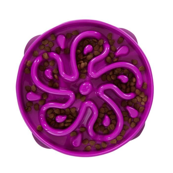Kyjen Outward Hound Fun Feeder Lente Bol d`Alimentation pour Chien Violet Grand - 2872