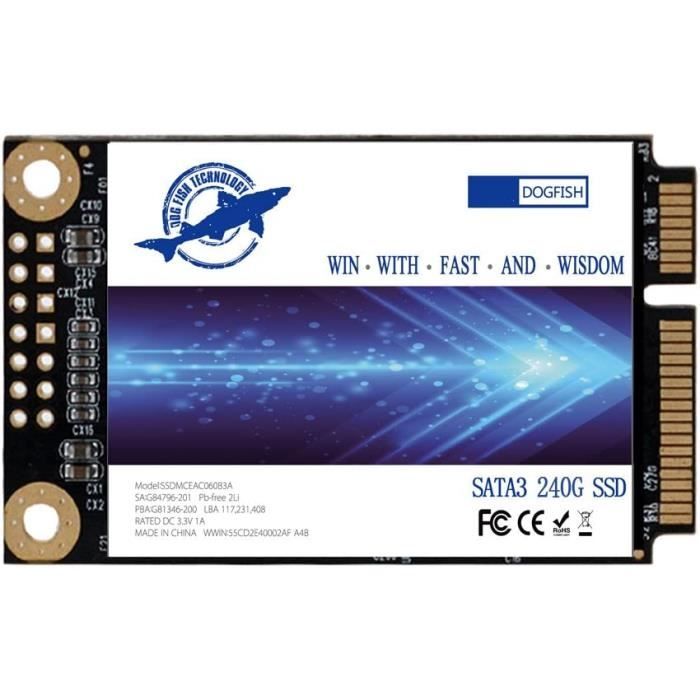 Dogfish Disque SSD MSATA 480 Go - SATA III 6Gb/s, Haute Performance Pour Ordinateur Portable