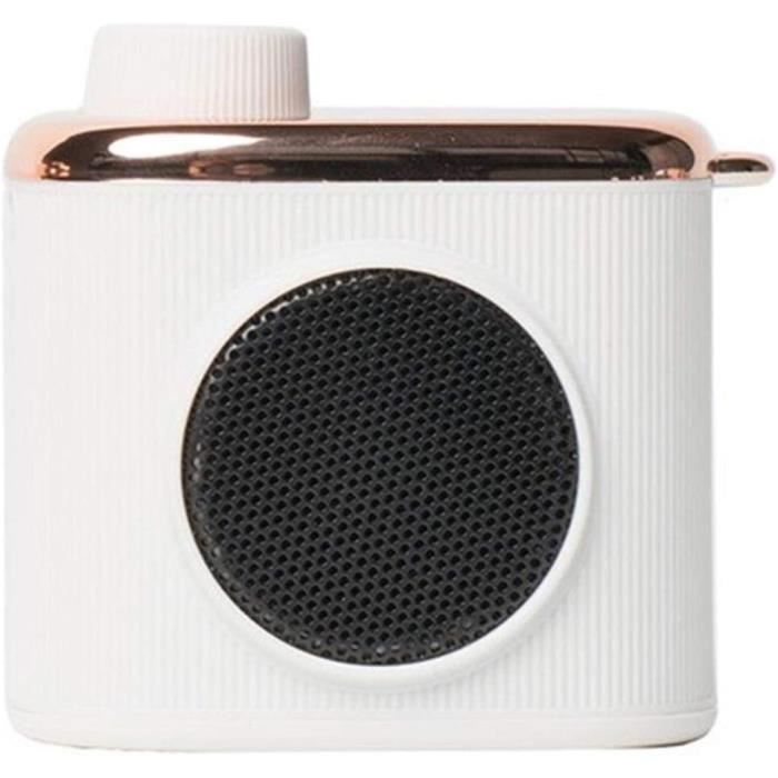 Mini Haut-Parleur Bluetooth Design Rétro et Radio-FM R917-A Brun Clair