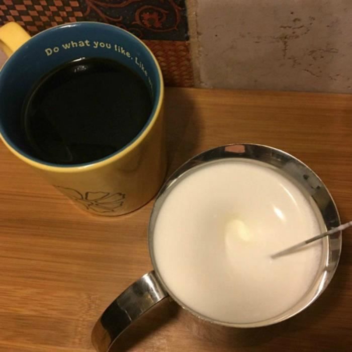 Bestonzon Mousseur à lait en acier inoxydable avec tête de fouet à ressort double pour café latte cappuccino 
