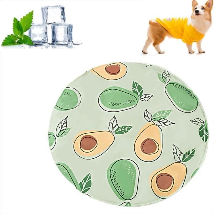 Tapis Rafraîchissant Gel Pour Chien Et Chat – Non Toxique, étanche, Facile à Nettoyer (30x40cm)