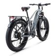 FICYACTO 26 pouces vélo électrique RX80 4.0 gros pneu 1000W 48V17.5Ah batterie au lithium visite guidée en vélo électrique de ville-1