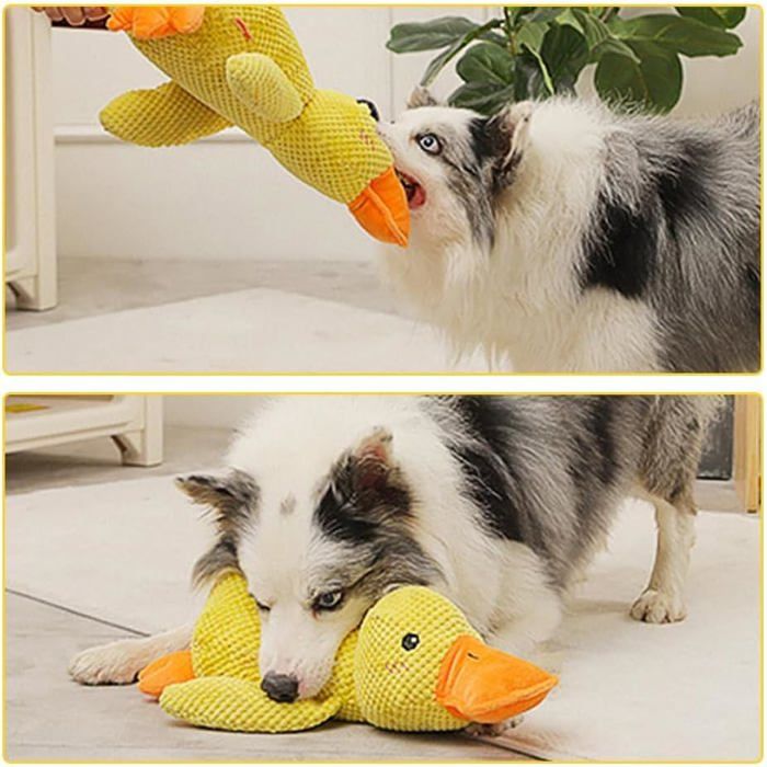 Jouet Canard Anti-stress Pour Chien - Peluche Couineuse 34x28 Cm, Jaune, Pour Chiens Petits Et Moyens
