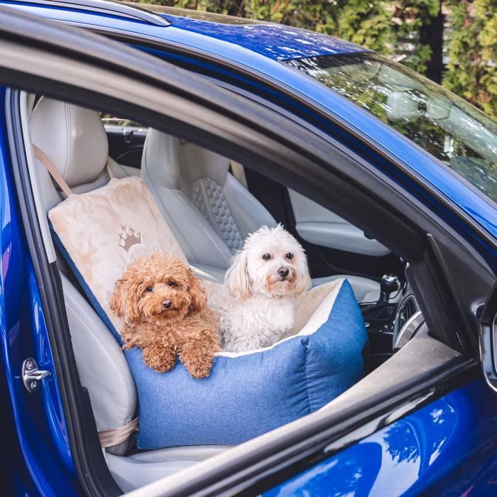 Siege Voiture Chien Siège Auto Pour Chiens De Petite Et Moyenne Taille, Rehausseur Pour Siège Auto Chien