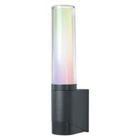 Applique LED extérieur SMART WIFI RGBW FLARE WALL - SMART - Noir - Contrôle vocal - IP44