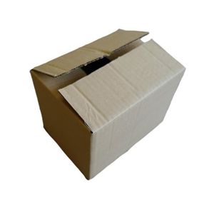 CAISSE DEMENAGEMENT 2 cartons d'emballage 20 x 15 x 11 cm