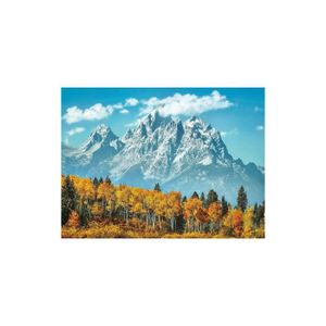 PUZZLE Puzzle paysage Parc National de Grand Teton 500 pi