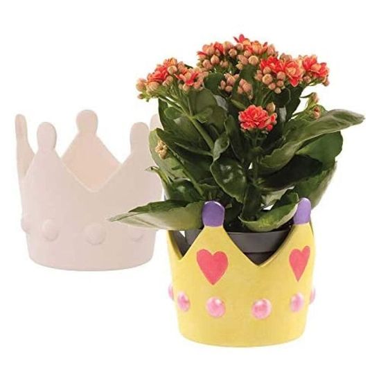 Baker Ross Personalised Flower Pots (Pack of 30) - Children's Craft AT377 Baker Ross Personalised Flower Pots (Pack of 30) - Children's Craft AT377