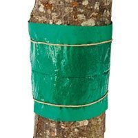 Ceinture de glue anti insecte pour arbre