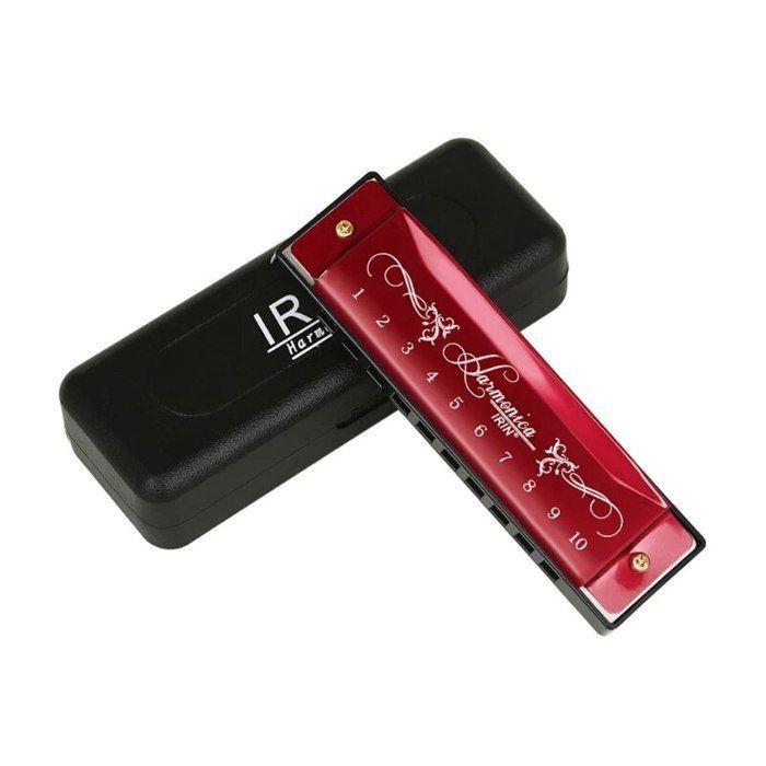 JDR Harmonica Do Blues Armonica Clé de Do 10 trous 20 tons avec étui et bouche Diatonique standard pour débutants adultes joueurs professionnels enseignants parents étudiants Noir Cadeau Nouvel An