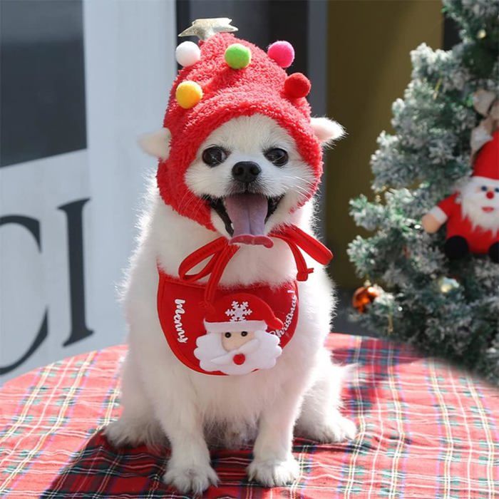 Deguisement Chien Noël pour Gros & Petit Chien Chapeau de Noël pour Chien et Chat avec Noeud Papillon Set L B taille L