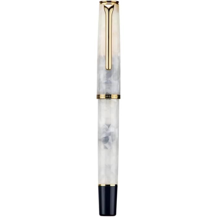 Hongdian D1 Stylo-Plume à Piston Pointe Fine - Squelette Creux Résine Et Étui Métal Argenté, Écriture Fluide
