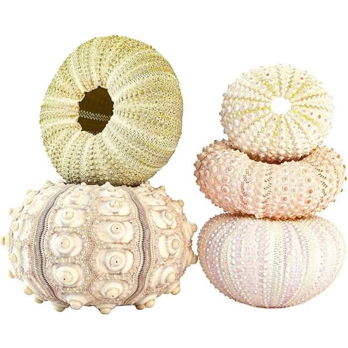 Lot De 2 Cintres Macramé 105cm Noir - Paniers Fleurs Suspendus Avec Pompons En Coton Pour Intérieur Et Extérieur
