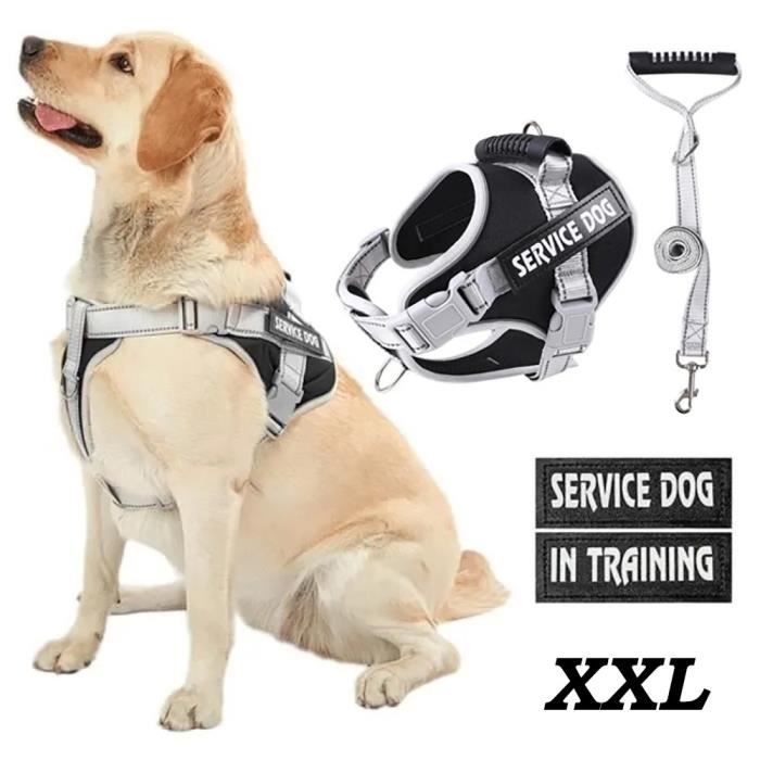 Comparer les prix de Harnais Chien XXL,Réfléchissant Harnais Anti Traction avec Laisse pour Chien et Poignée Rembourrée, pour Moyen Grand Chien, Noir