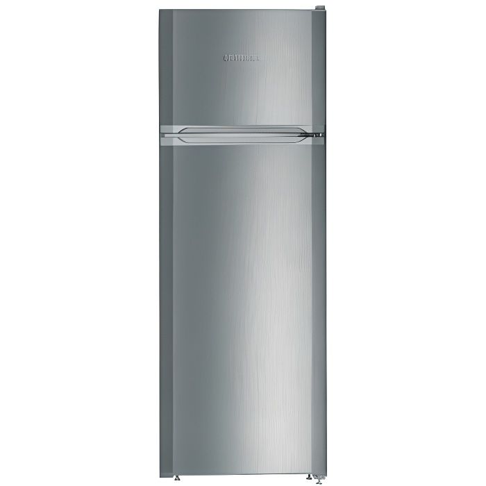 Réfrigérateur congélateur haut CTPEL251-21