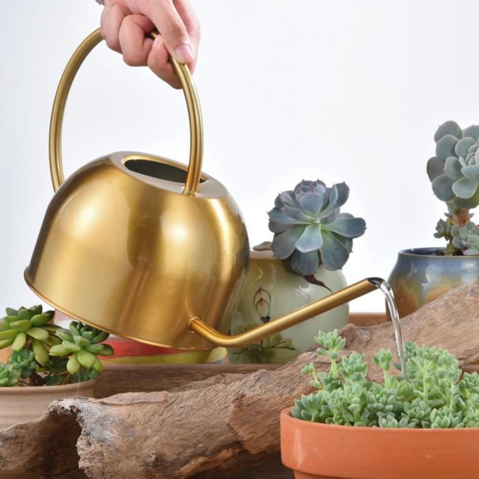 Arrosoir en acier inoxydable pour plantes d'intérieur pour plantes d'extérieur,plantes succulentes Mini dispositif d'arrosage pour plantes aquatiques en métal de jardin européen Arrosoir à long bec Arrosoir en acier inoxydable pour plantes d'intérieur pour plantes d'extérieur,plantes succulentes Mini dispositif d'arrosage pour plantes aquatiques en métal de jardin européen Arrosoir à long bec