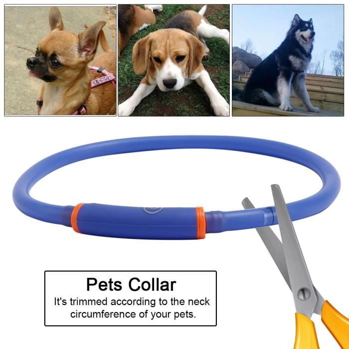 Clochette Pour Collier Chat/Chien - Pendentif Décoration Animaux En Métal | 4.5x2.4 Cm, Coloris Variés