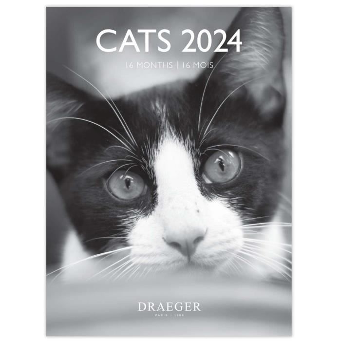Agenda 2024-2025 Petit Format de Poche Chats: Calendrier Semainier