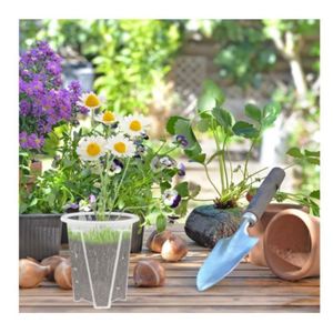 POT ORCHID TRANSPARENT 285X225mas PLAQUE 235cm Unité Vente | Leroy Merlin