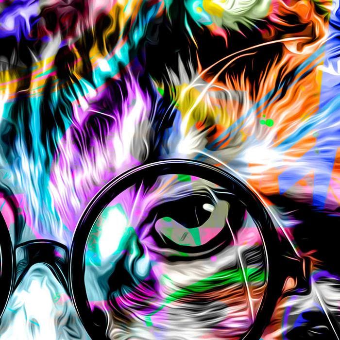 Tableau Pop art chat lunette 80x50cm made in France