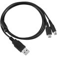 Chargeur Compatible Nintendo 3DS-3DS XL-new 3DS-new 3DS XL-2 DS-2 DS XL-new 2DS XL-new 2DS LL-DSi-XL-DS Lite-Cable USB Phonillico®-0