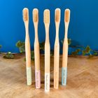 NOVELA GLOBAL Brosses à dents françaises biodégradables et compostables
