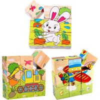 3 Packs Puzzle en Bois Enfant, Puzzle Cubes Bois, Jouet Puzzle Enfant, Coloré, Jouet d'apprentissage Montessori, Styles Aléato[852]