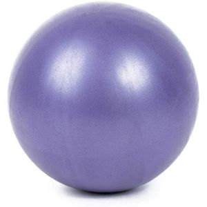 BALLON SUISSE-GYM BALL BALLON SUISSE - GYM BALL - SWISS BALL AMOYER 25cm Yoga Balle Gymnastique Fitness Gym Fitness Ballon d'exercice Yoga de Base Ball464