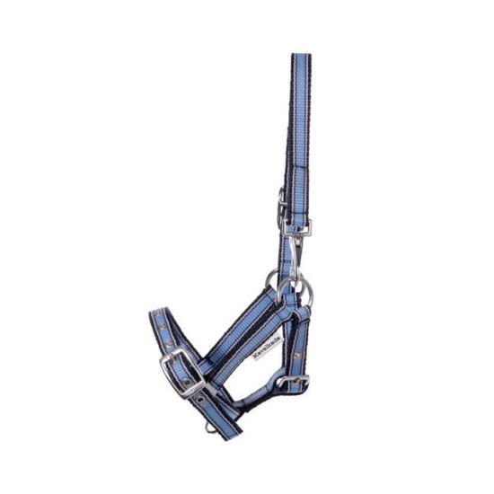 Licol Weaver Pour Yearling – Gris, Nylon, Non Réglable, Neuf Avec étiquette