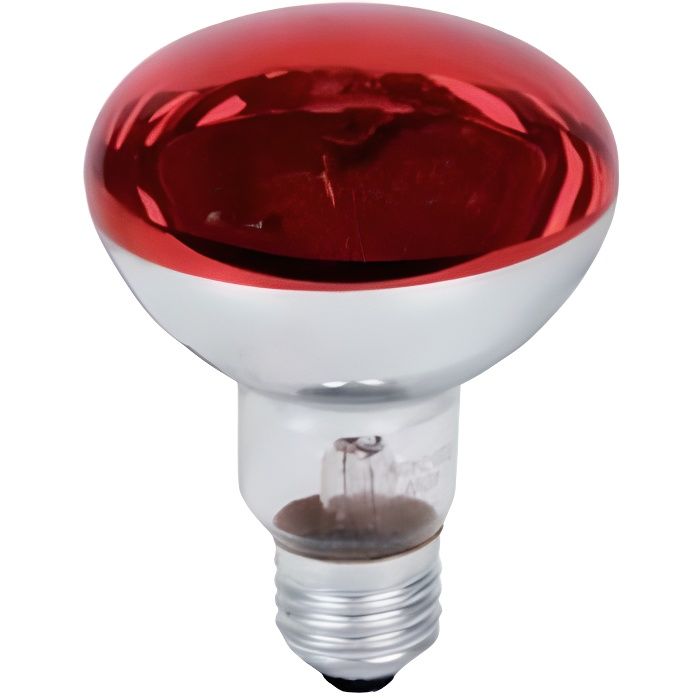 Ampoule Couleur ROUGE Concentra R80 230V 60W GA30 E27