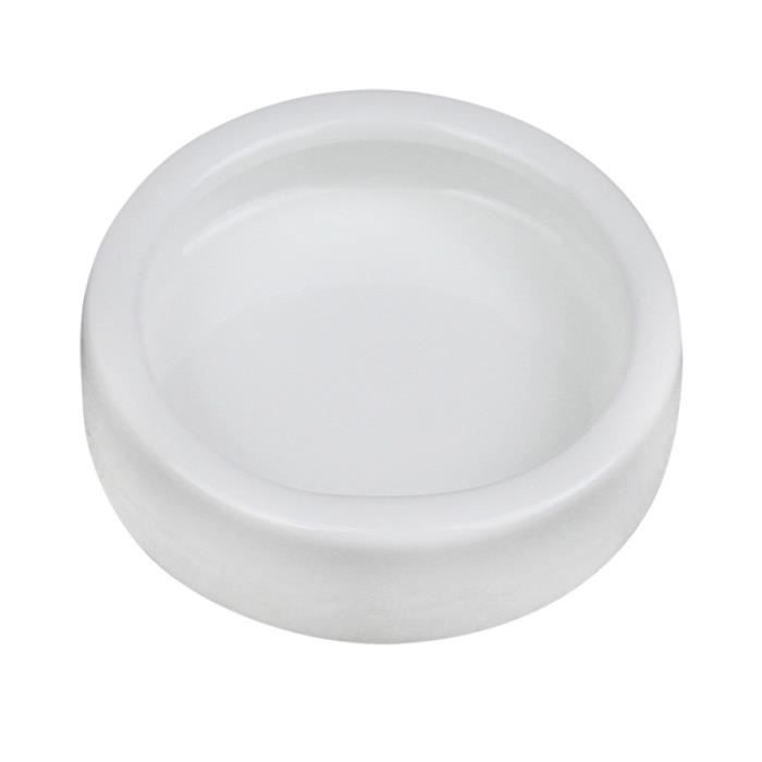 2 pièces chenille Anti-évasion céramique transparente clair Durable rond bassin alimentaire fournitures ornementales bol PLATE