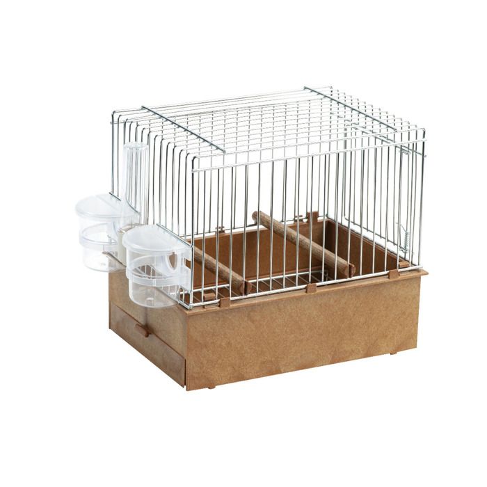 Cage Pour Oiseaux De Chant