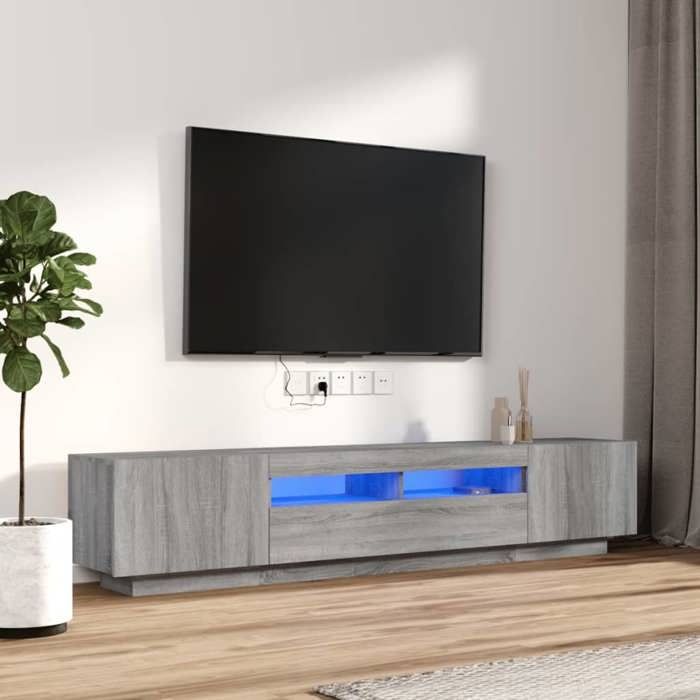 Ensemble Armoires-HIFI avec lumières LED (Lot de 2) - Meuble TV suspendu - Grande espace - Sonoma gris(2 parcel) T6422