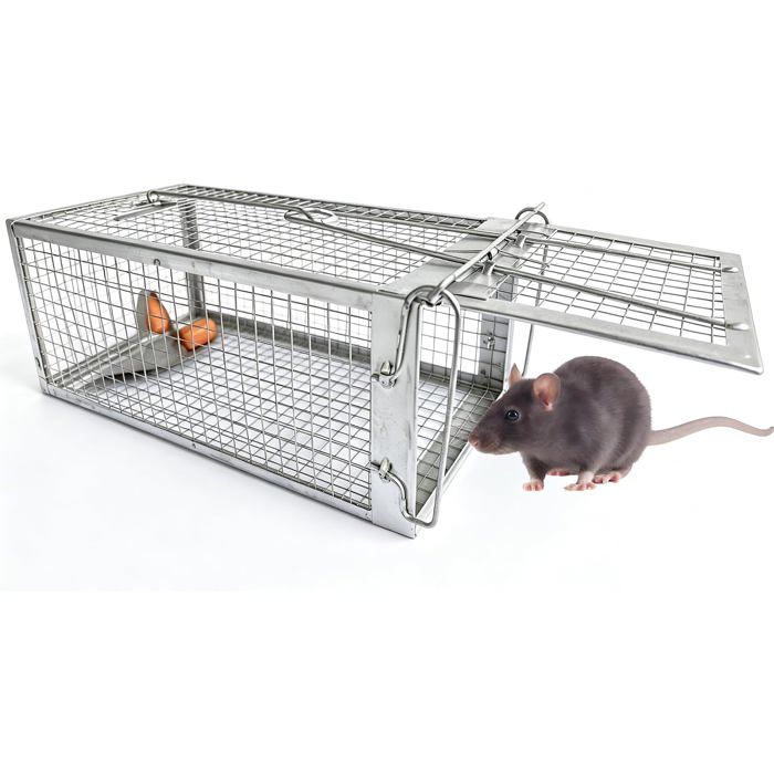 Piège à rat et souris XXL - cage de capture réutilisable sans tuer 31 x 17 x 13 5 cm usage intérieur et extérieur