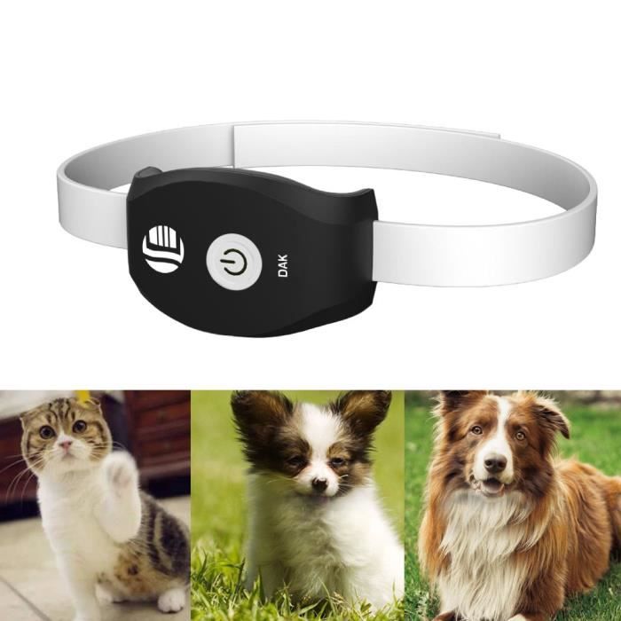 Pet Realtime Gps Gsm Tracker System Pour Chats Chiens App Gratuite Pour Chien Mobile Cat Xfm70216621au109
