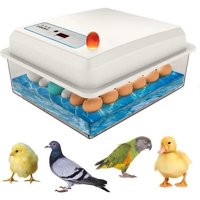 Comparer les prix de Couveuse automatique à lit d'eau pour 20 oeufs - Éclosion bionique
