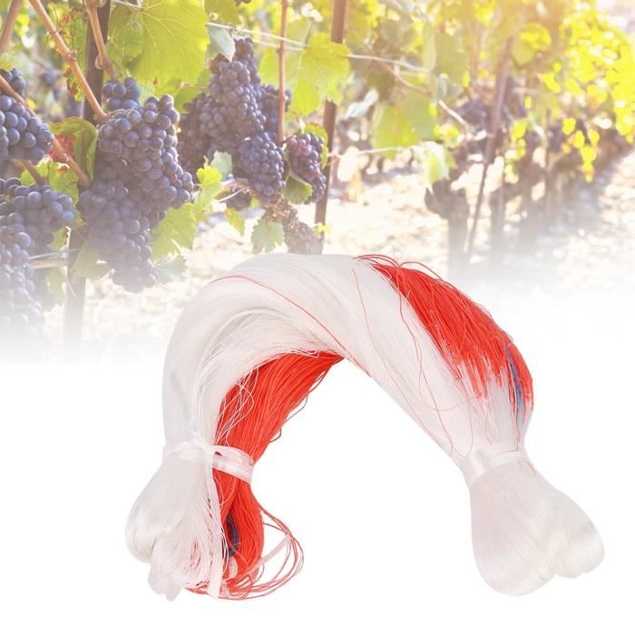 JARDIN FILET DE Treillis Légumes Haricot Plantes Concombre Grimpant Soutien 2020 EUR 9,22