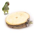 jouets en bois pour oiseaux, accessoires de perche en bois, support de perroquet, échelle à balançoire, gris africa WHITE -THJR691-1