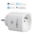 Prise connectée GreenBlue WiFi, Android/iOS/Alexa/Google Home, consommation électrique, minuterie, max 3680W, type E, GB720 E-2