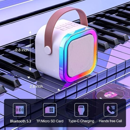 Kit Karaoké Bluetooth Avec 2 Micros Sans Fil - Enceinte 20W LED Pour TV Et Fêtes
