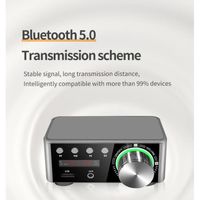 Amplificateur numérique Bluetooth, Mini amplificateur de puissance Bluetooth 5.0, Amplificateur audio