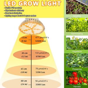 Projecteur LED de croissance des plantes à spectre complet 100W 220V  Lumière chaude avec prise
