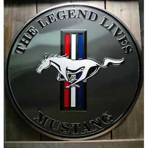 Blechwaren STR 178 Plaque de Rue en t/ôle avec Logo Ford Mustang 46 x 10 cm